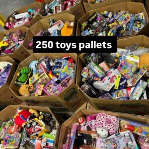 full truckload of toys (bulk kids products)