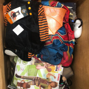 halloween costumes pallets (seasonal apparel)