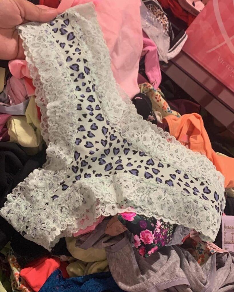 Ladies Panties Liquidation Pallets: 10 Powerful Reasons Apparel Resellers Profit in 2026 ladies underwear liquidation pallets